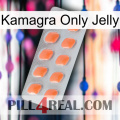 Kamagra Only Jelly 26